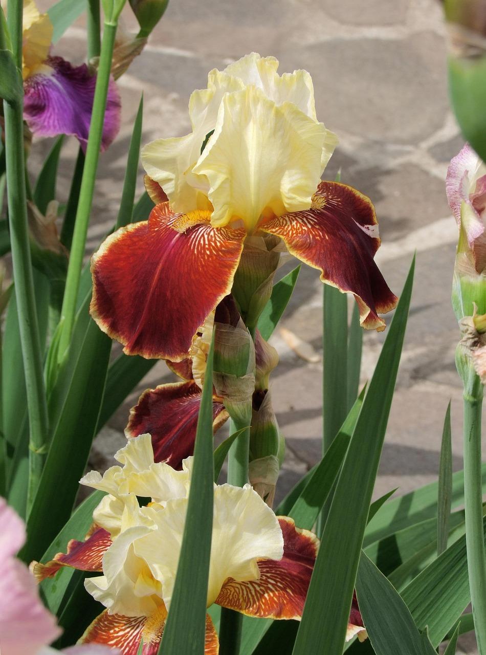 Gartenplanung